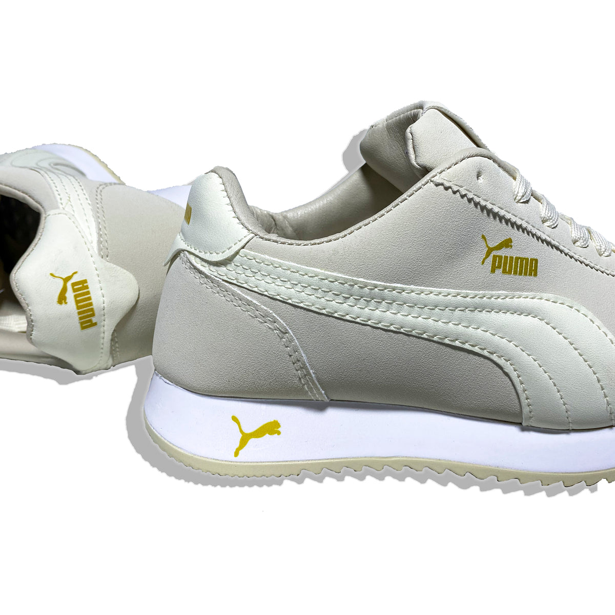 Puma Cortez