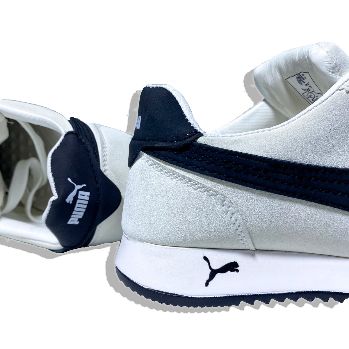 Puma Cortez